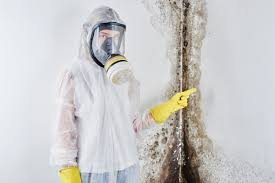 Why You Should Choose Our Mold Remediation Services in Cortland West, NY